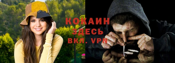 молекула духа Волоколамск