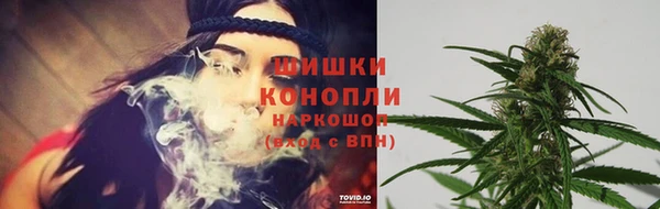 шишки Волосово